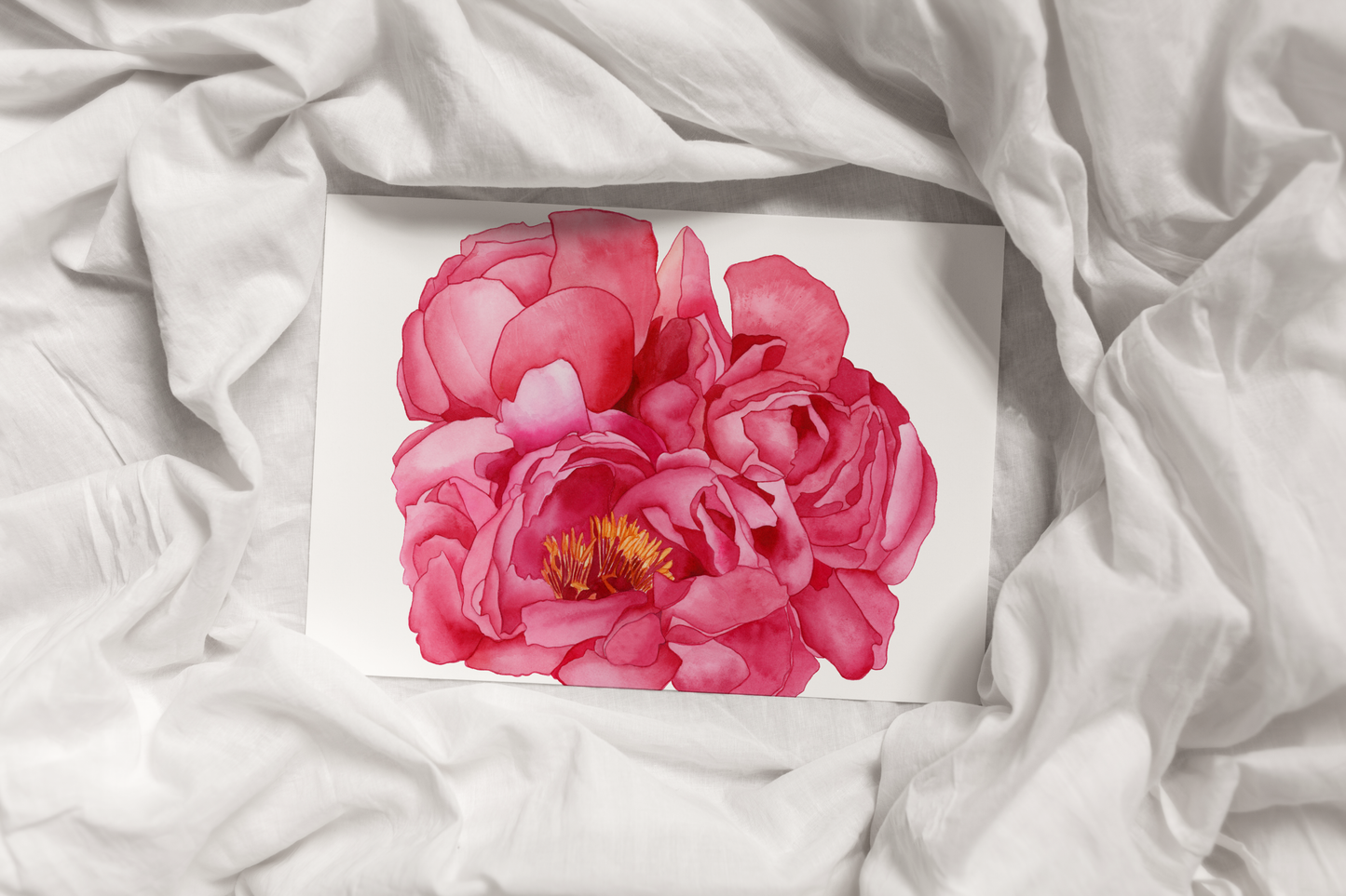 Pink Peonies Print