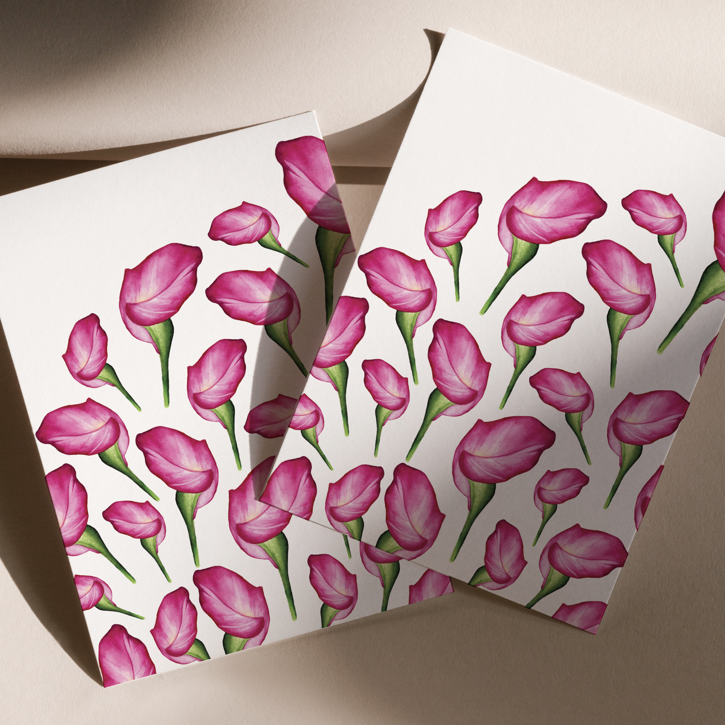 Pink Calla Liliy Print
