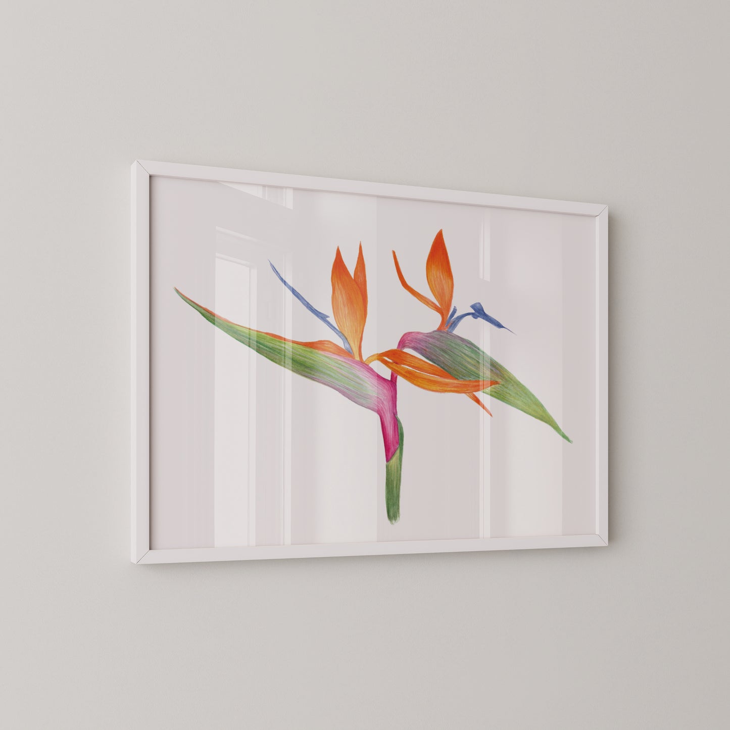 Bird of Paradise Print