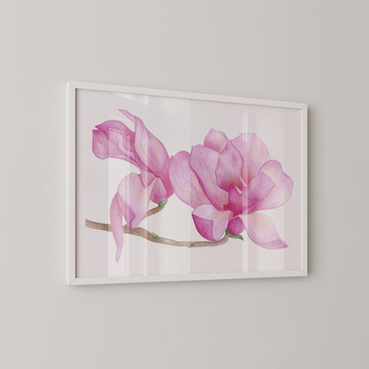 Blooming Magnolias Print