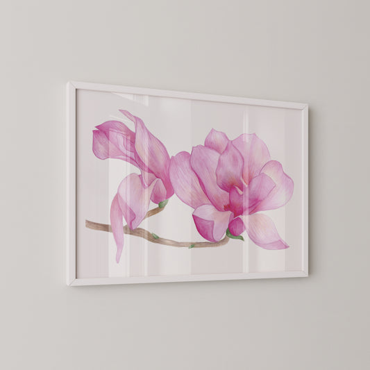 Blooming Magnolias Print