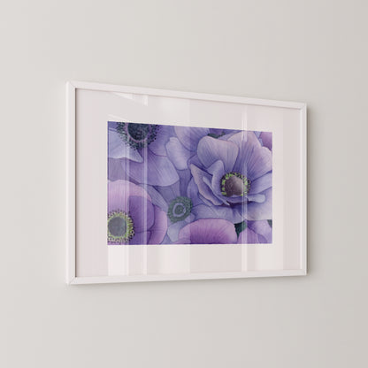 Purple Anemones Print