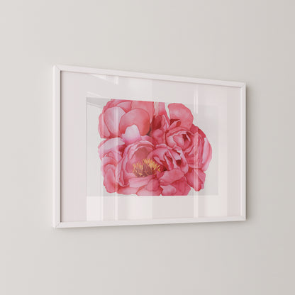 Pink Peonies Print