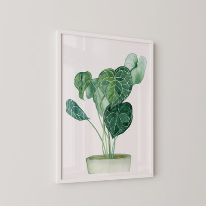Potted Plant Print
