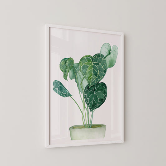Potted Plant Print