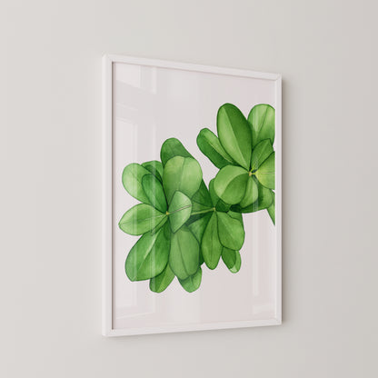 Green Succulent Print