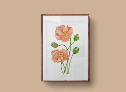 Blush Poppies Print