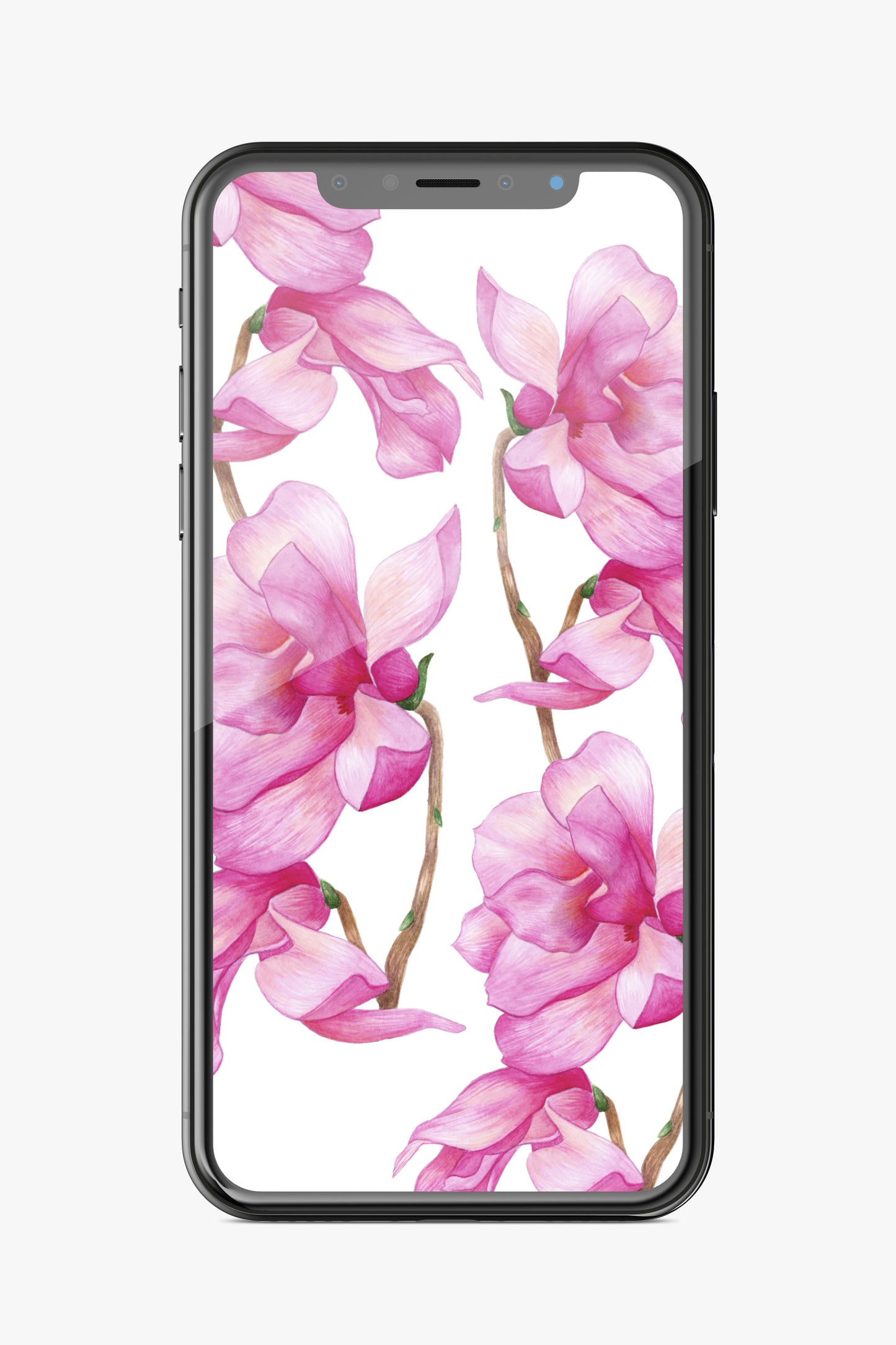 Magnolias Phone Wallpaper Set