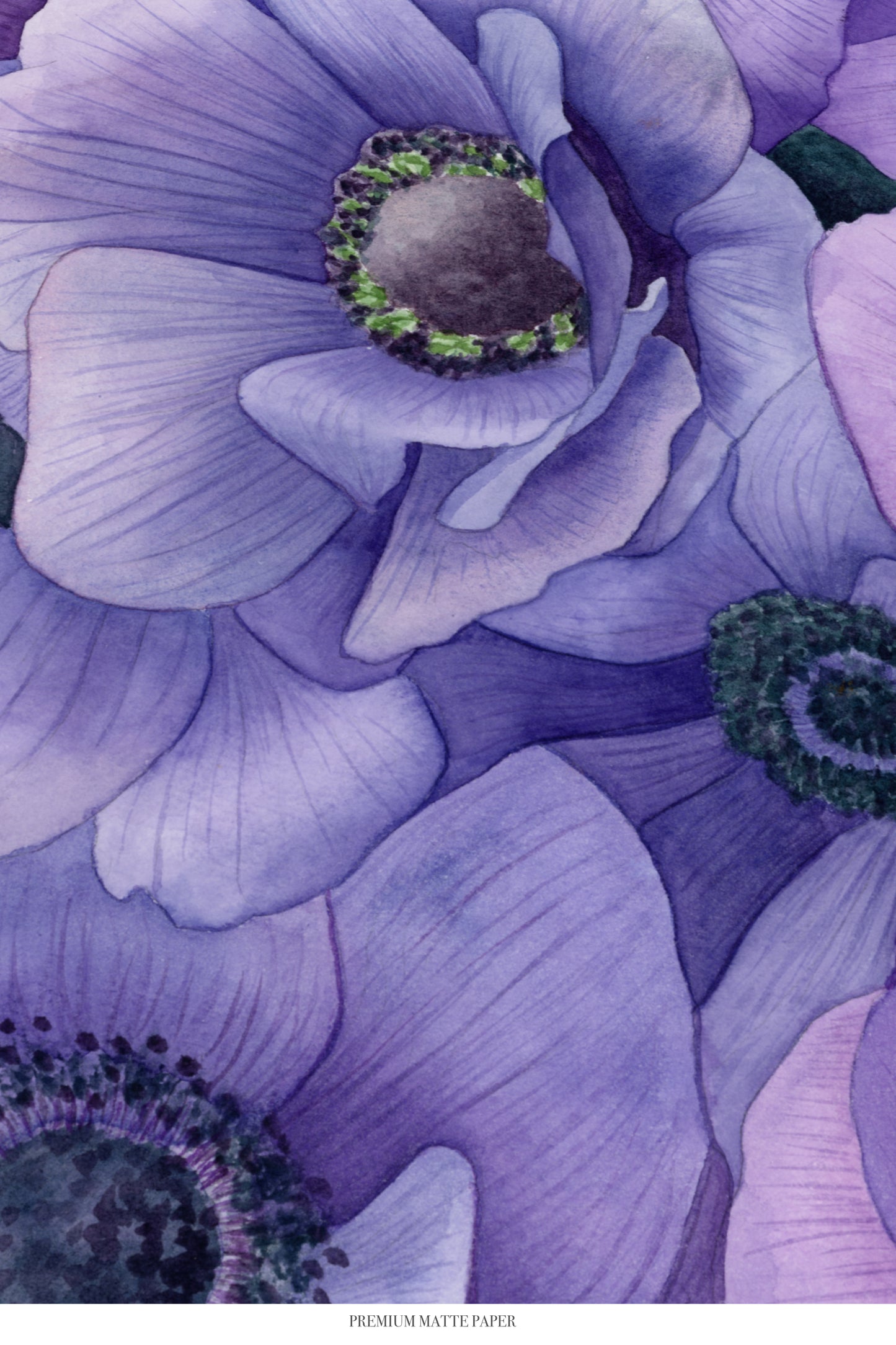 Purple Anemones Print
