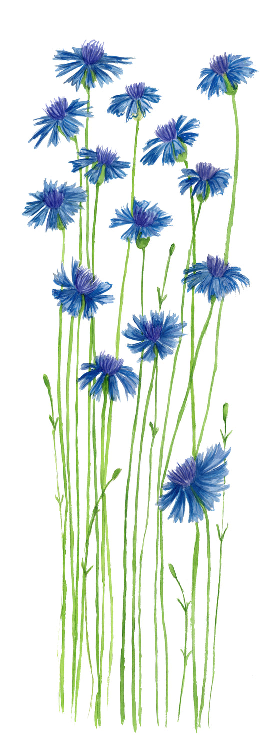 Blue Cornflower Bookmark
