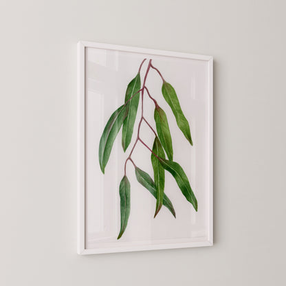 Leaves Branch Print