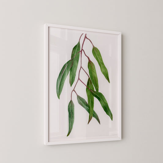 Leaves Branch Print