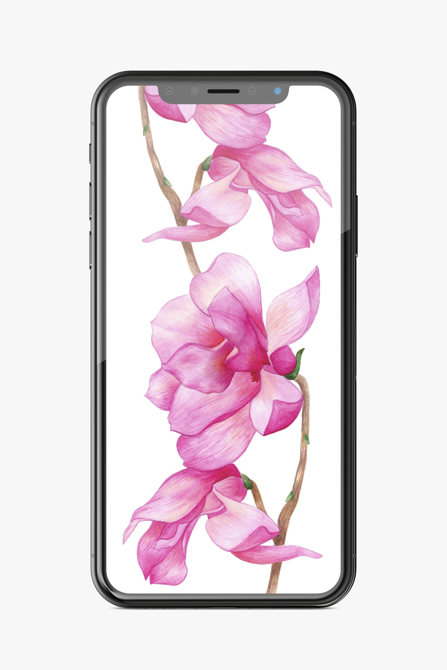Magnolias Phone Wallpaper Set