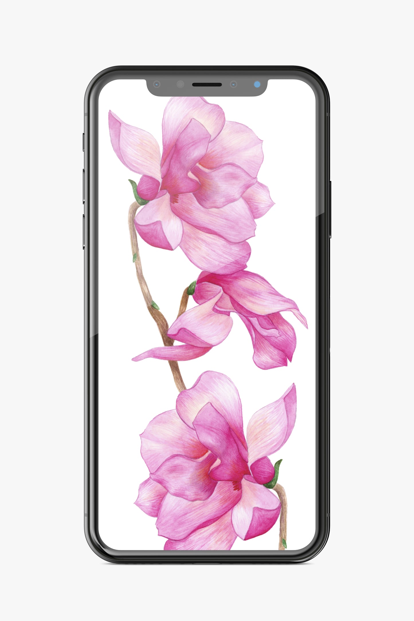 Magnolias Phone Wallpaper Set