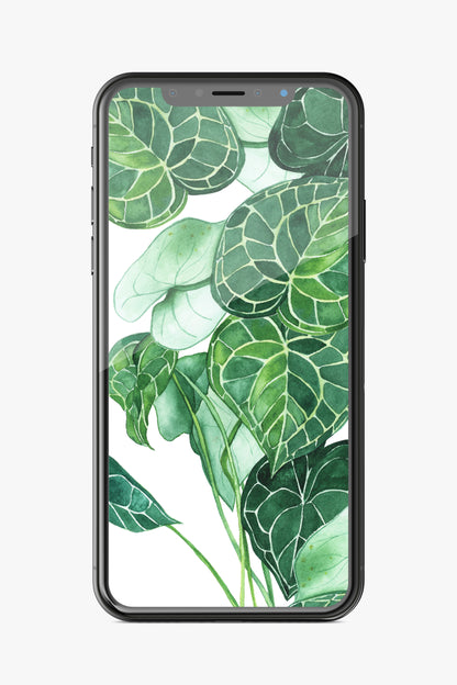 Potted Plant Phone Wallpaper Set
