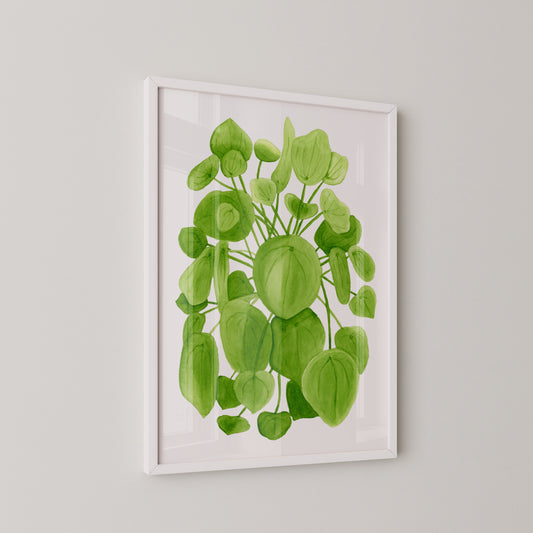 Pilea Print