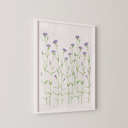 Purple Carnations Print