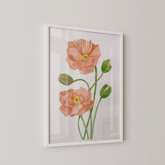 Blush Poppies Print