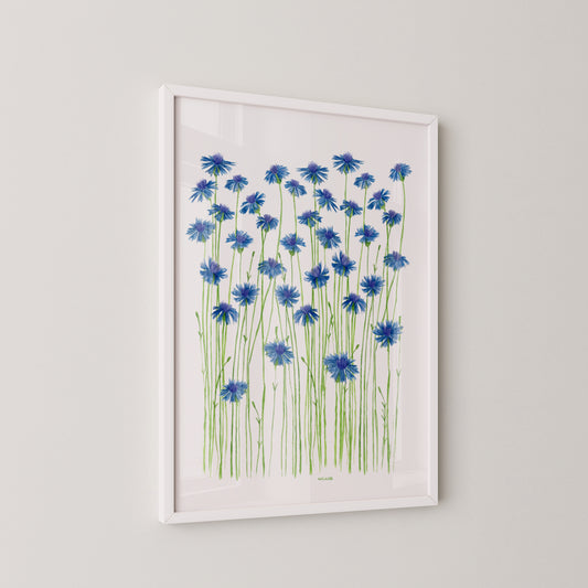 Blue Cornflowers Print