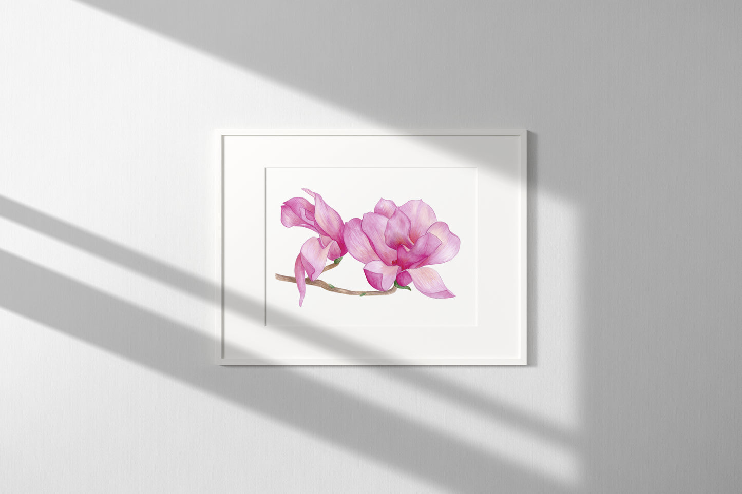 Blooming Magnolias Print