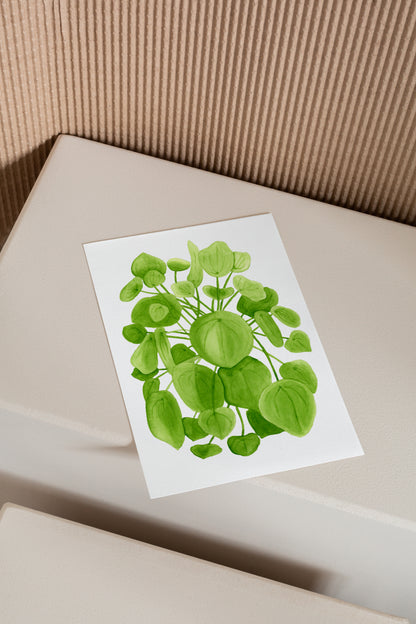 Pilea Print