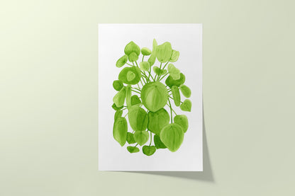 Pilea Print