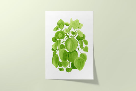 Pilea Print