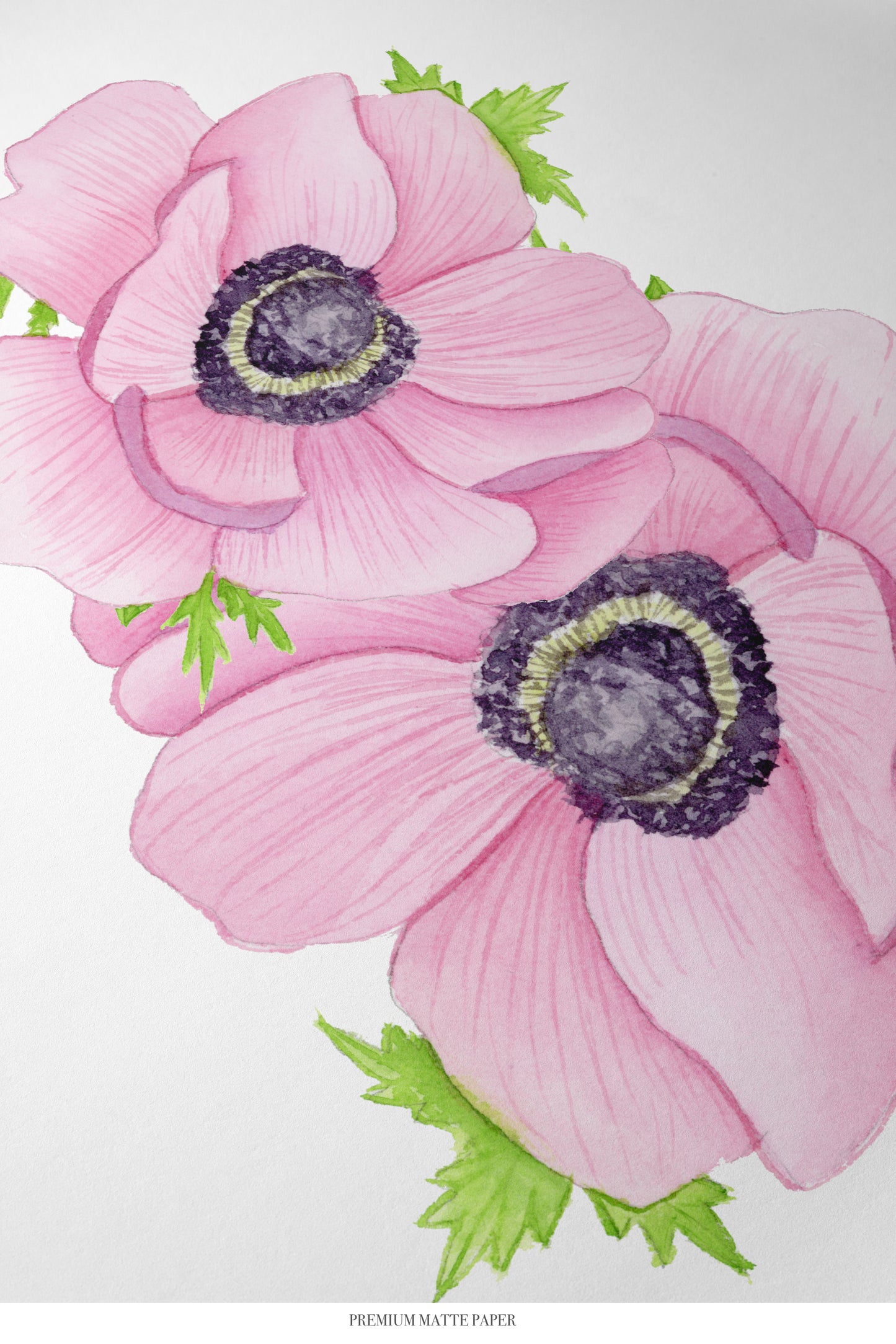 Pink Anemones Print
