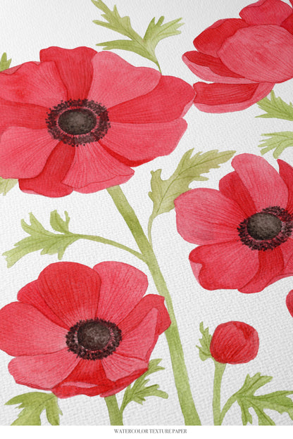 Red Anemone/Poppy Print