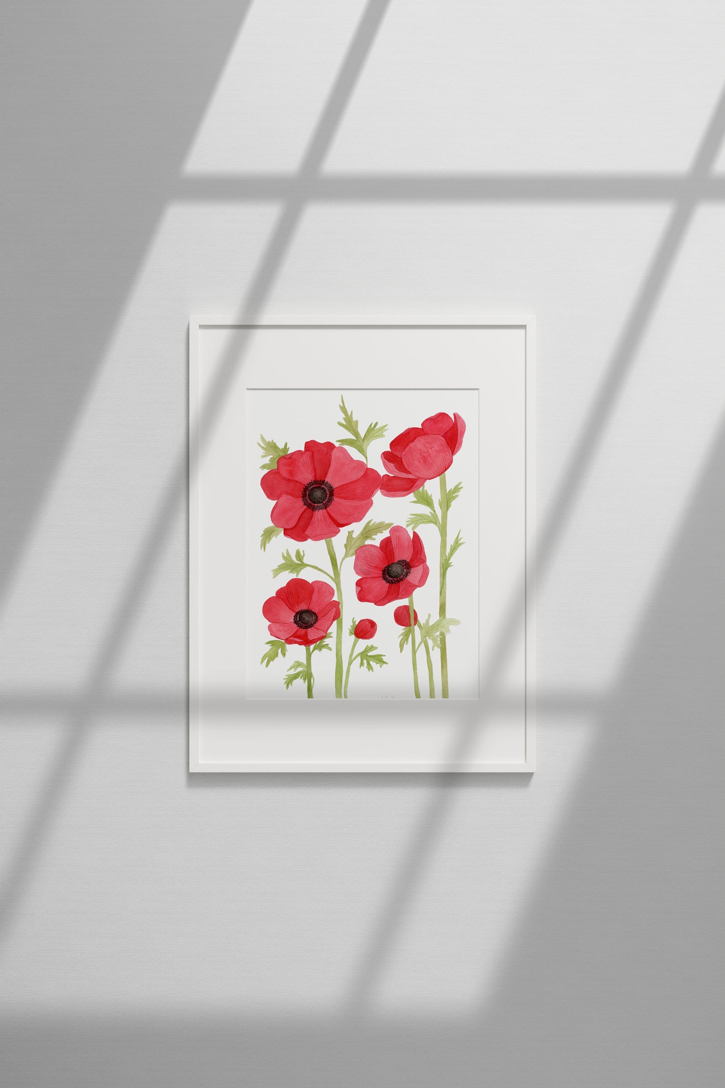 Red Anemone/Poppy Print
