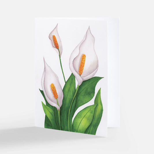 White Cala Lilies Notecard