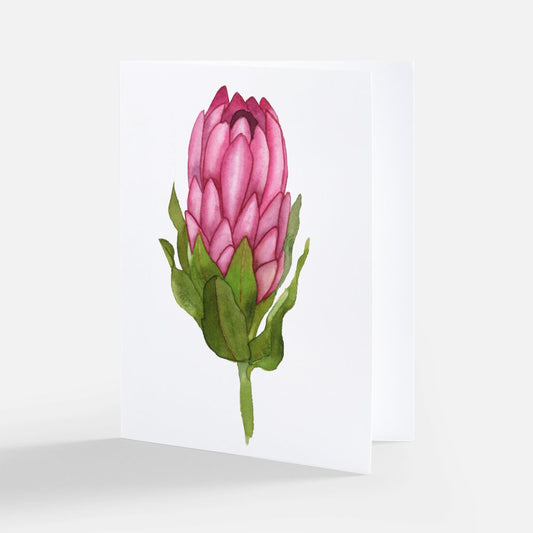 Protea Flower Notecard