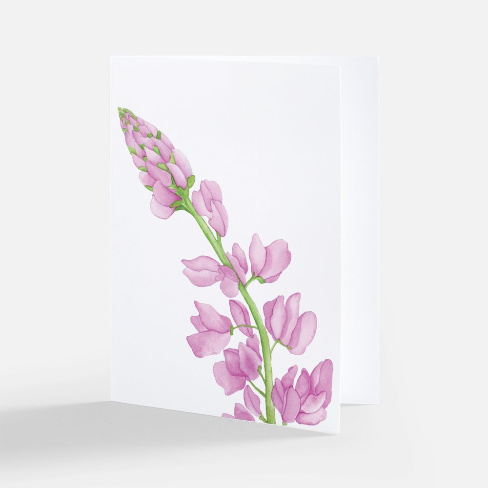 Lupine Flower Notecard
