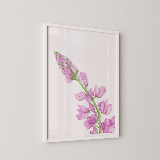 Pink Lupine Flower Print