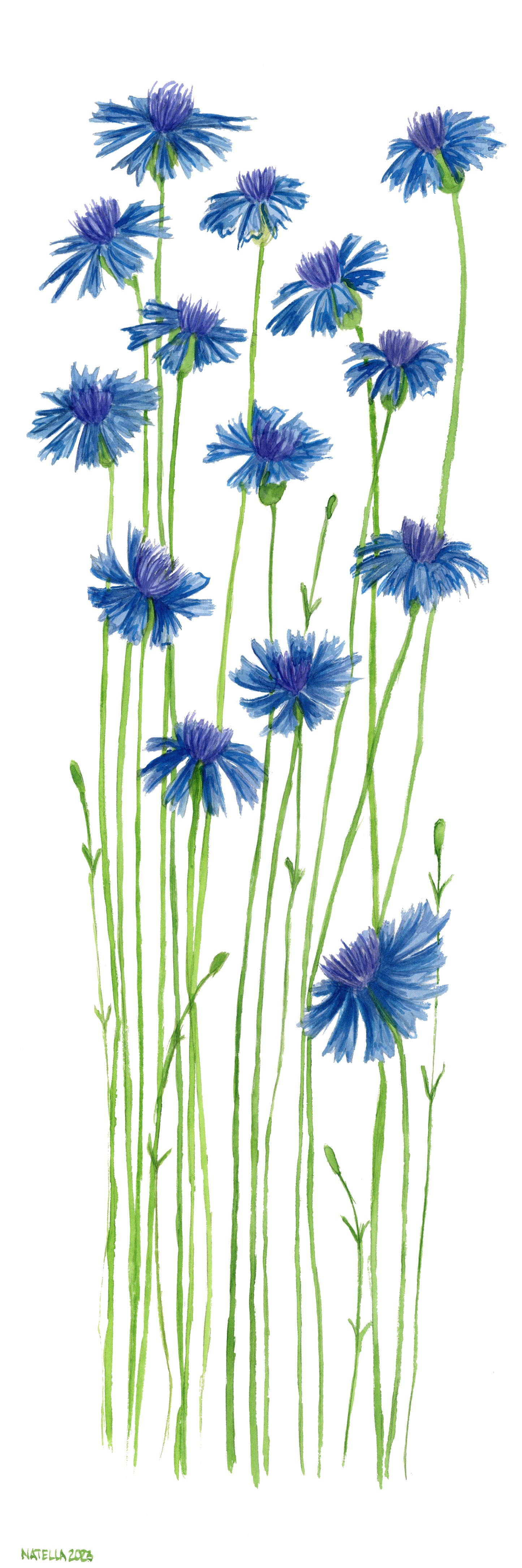 Simplicity in the Blue