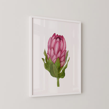Queen Protea Print