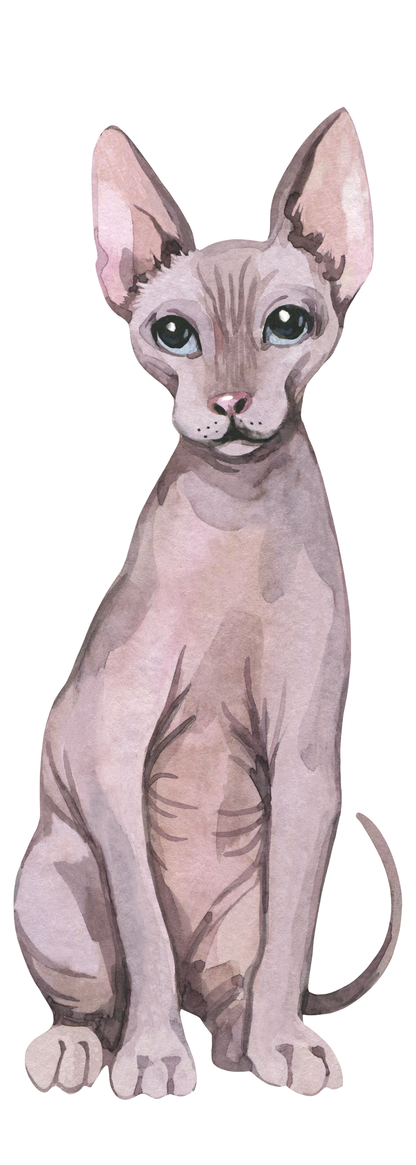 Sphynx Cat Bookmark