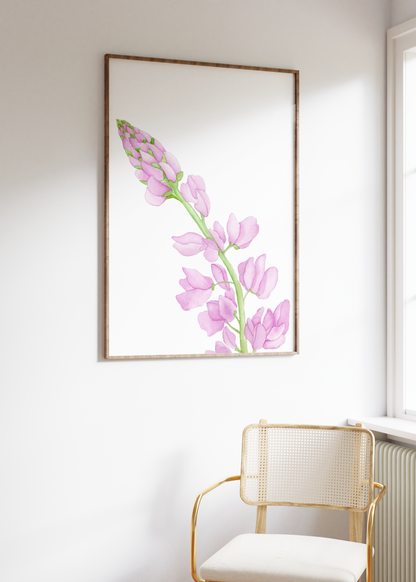 Pink Lupine Flower Print