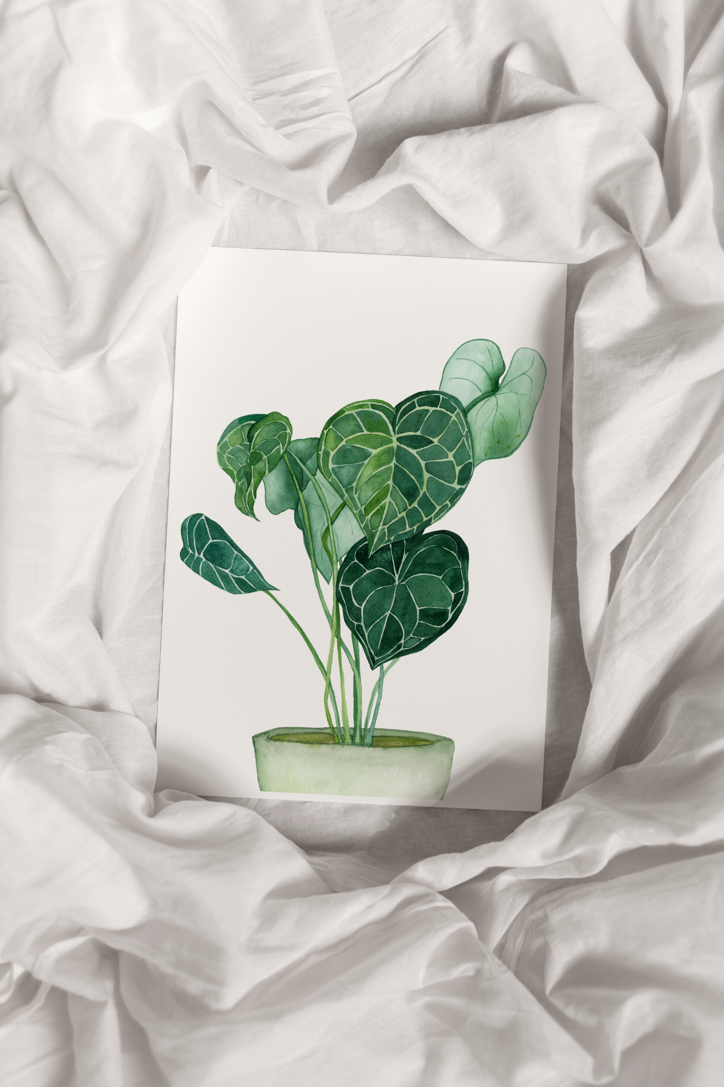 Potted Plant Print