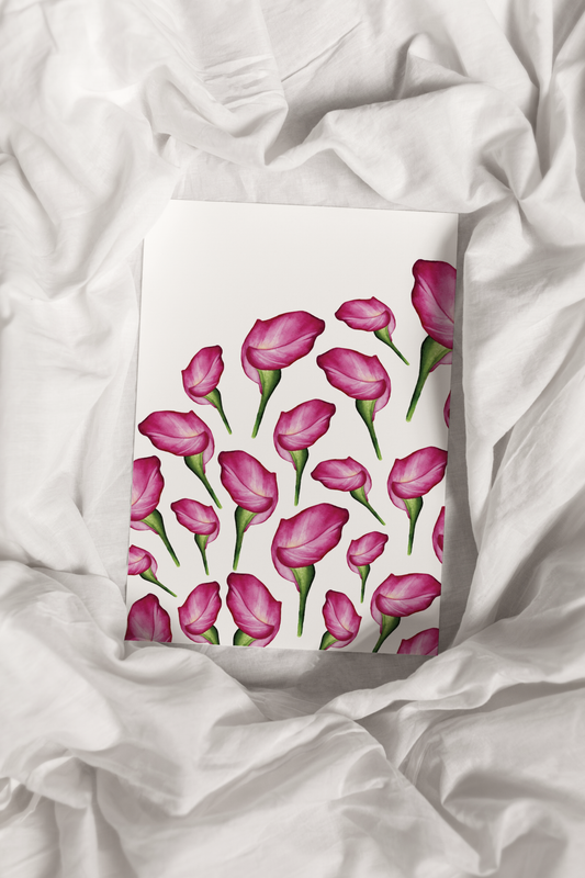 Pink Calla Liliy Print