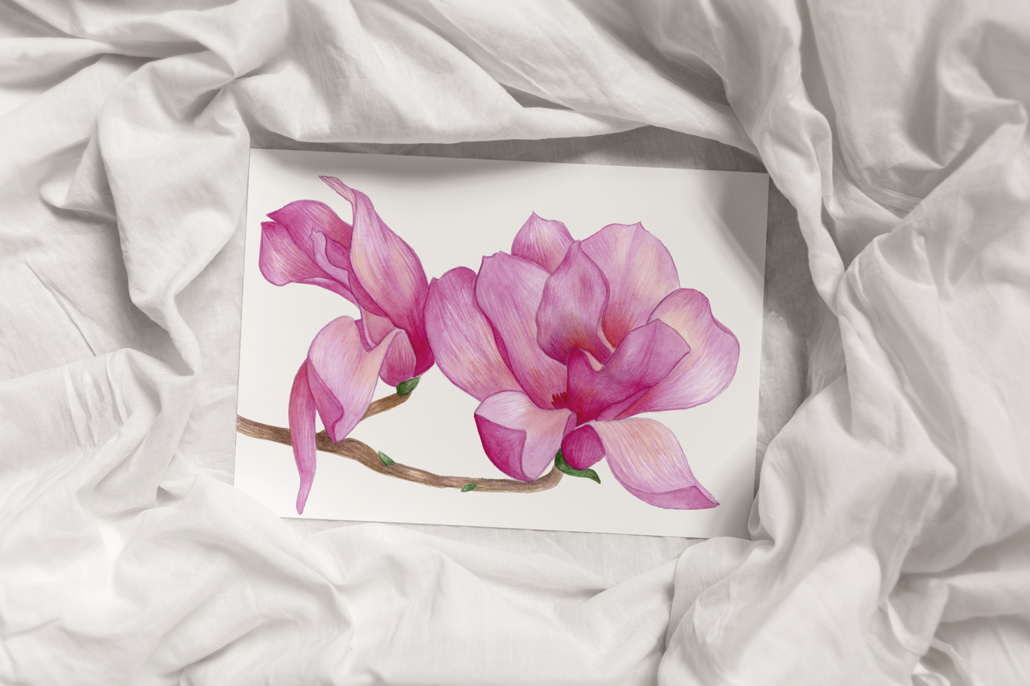 Blooming Magnolias Print