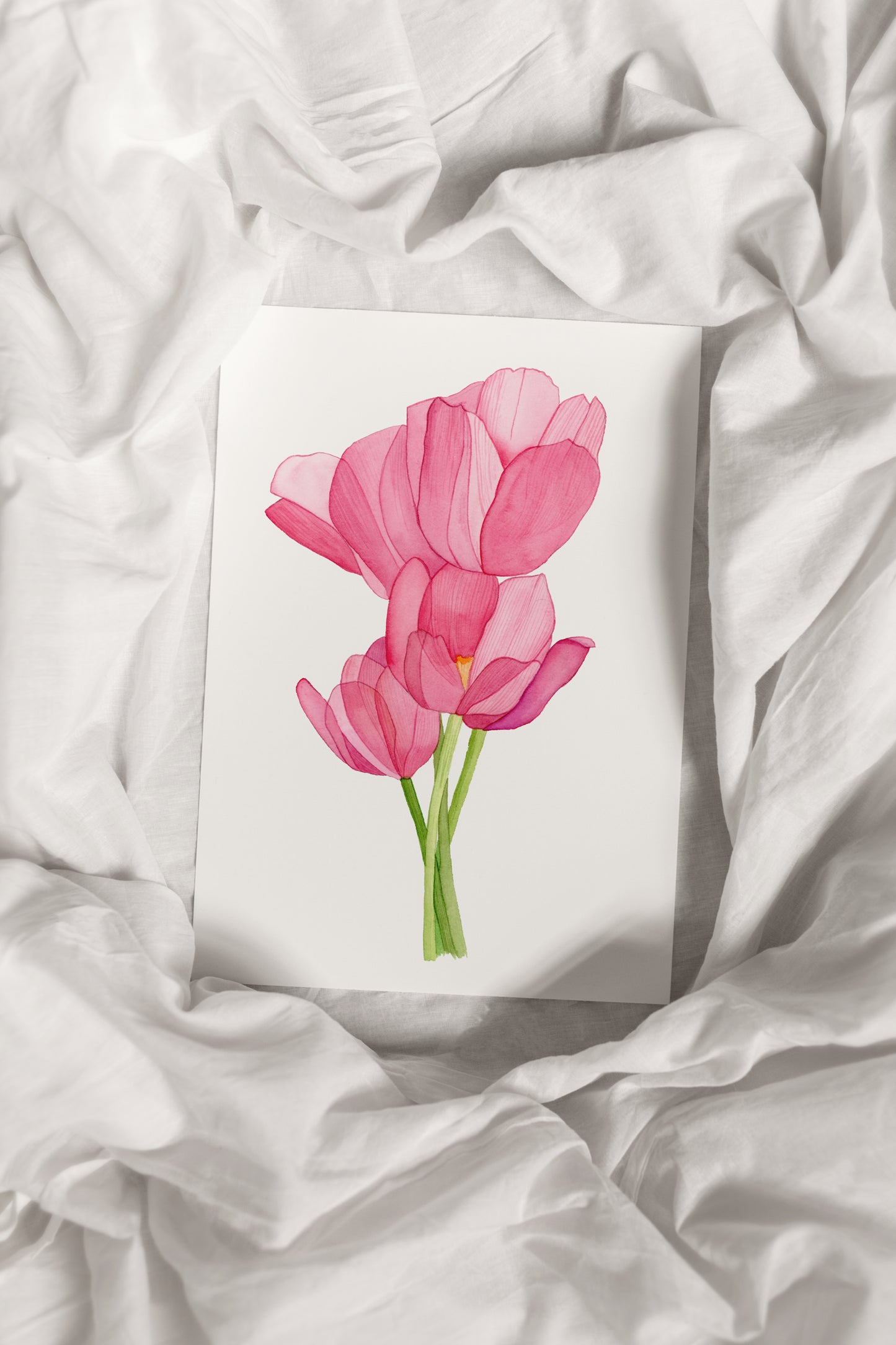 Pink Tulip Print