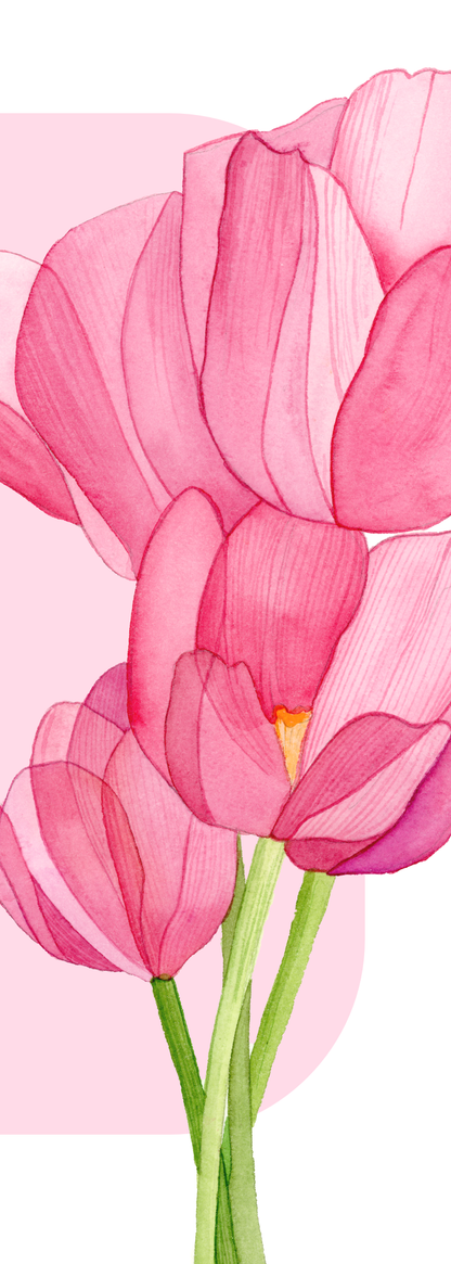 Pink Tulips Bookmark
